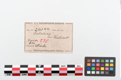 Etiketten zu Bronzeschlangenfibel (NHMW-PRAE-024344)